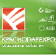  '2007