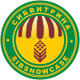 Сибвитрина'2008