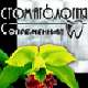 Современная стоматология'2008