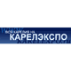 Энергетика Карелии'2009