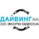 Выставка-праздник «Рождественская звезда»