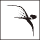 АвтоКиров'2010