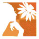  , '2006