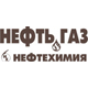 Нефть, газ. Нефтехимия'2008