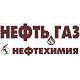 Нефть. Газ. Нефтехимия'2006